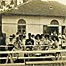 Maksimir - povijest i kvartovski simboli